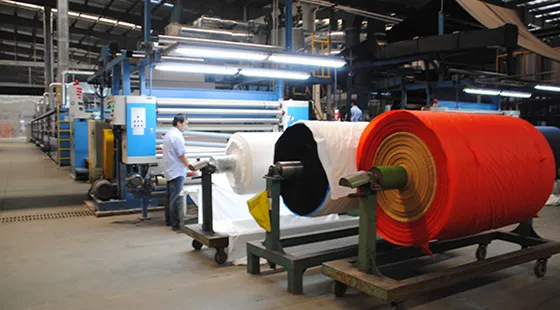 Dyeing & Finishing Fabric