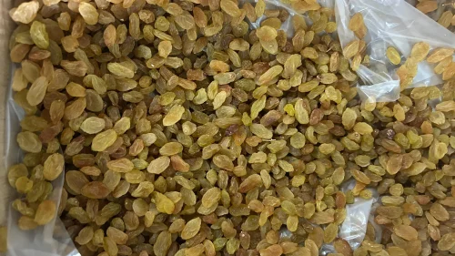 Organic Green Raisins (FSSAI Certified)