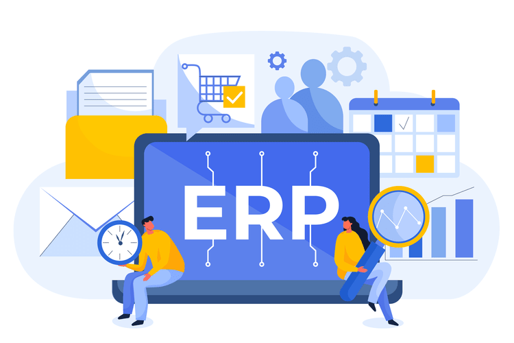 Custom ERP Development
