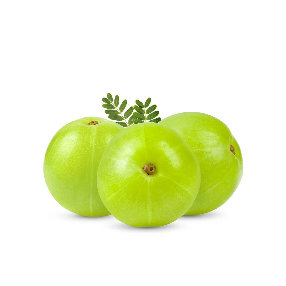 Organic Amla Indian Gooseberry Organic Fruit and Herb Export