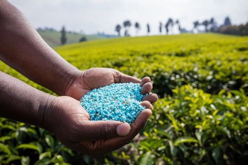 Agricultural Fertilizer Exporter India