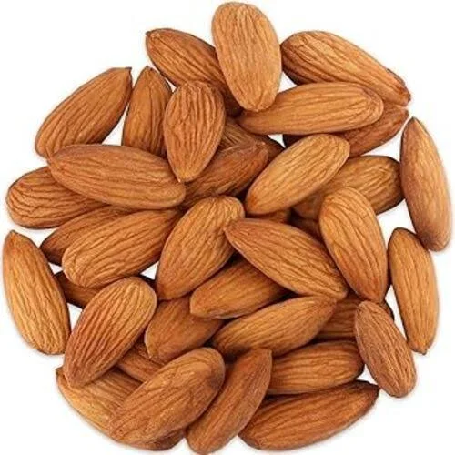 Almond Kernels Raw Premium Bulk Supply