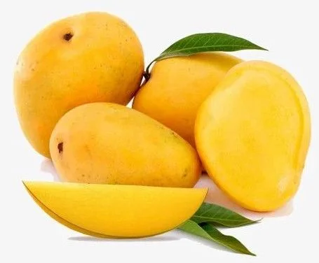 Alphonso Mango Exporter Grade A 300g+ High Brix UAE