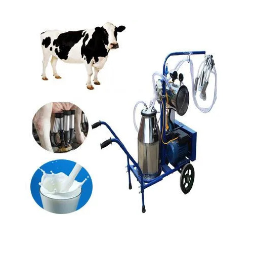 Automated Dairy Systems