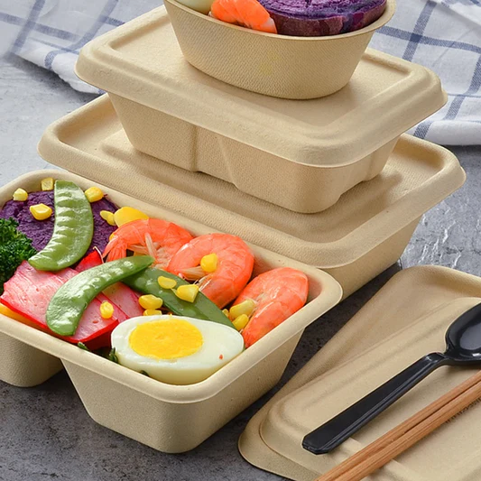 Bagasse Packaging Products
