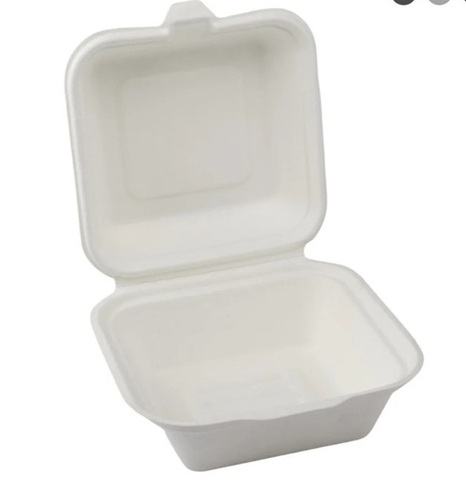 Bagasse Packaging Products