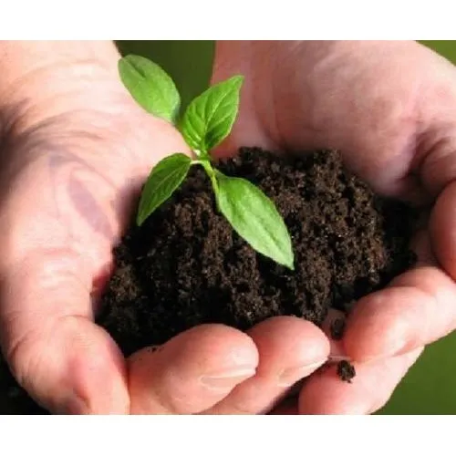 Bio Fertilizer Exporter India