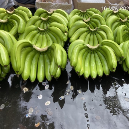 Bulk Fruit Buyers UAE Looking For Banana Exporter India