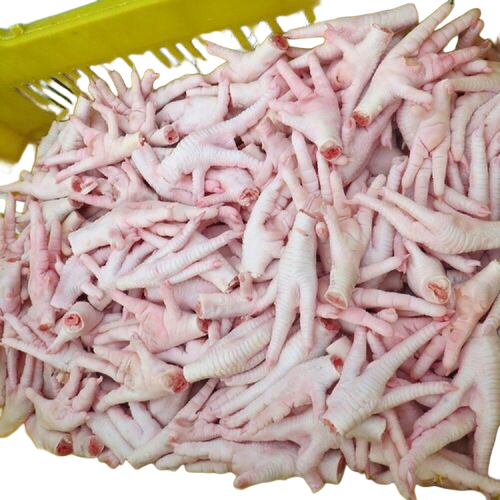 Chicken Feet Frozen Export Quality Poultry Bulk Supplier Asia Market