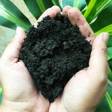 Eco Friendly Fertilizer Solutions