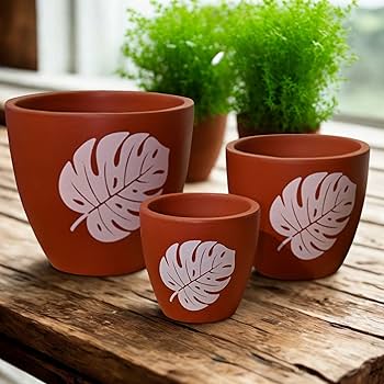 Eco Friendly Flower Pots