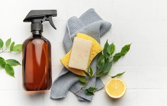 Eco Friendly Hygiene Supplier Europe Sustainable Markets