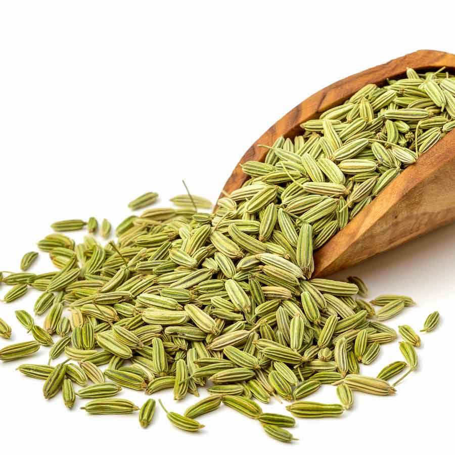 Fennel Seeds Premium Exporter India 