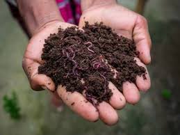 Fertilizer Exporter India