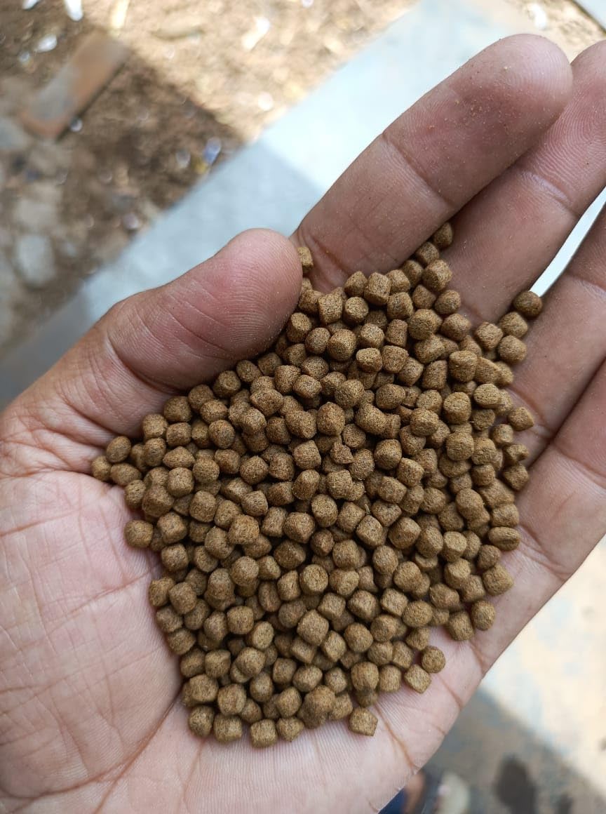 Fish Feed High Protein 32 Percent Floating Aquaculture Feed Supplier