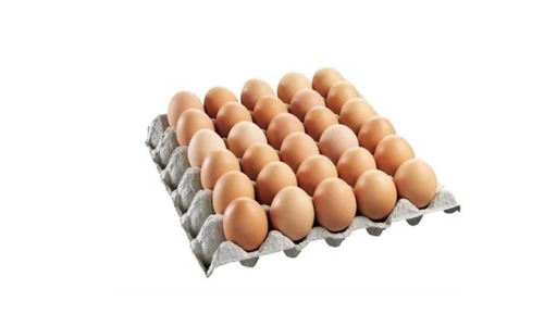 Fresh Eggs 30 Tray Packaging Bulk Poultry Supplier Export