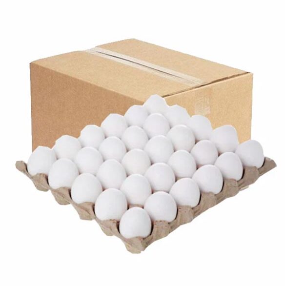 Fresh Eggs 30 Tray Packaging Bulk Poultry Supplier Export