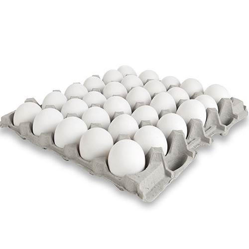 Fresh Eggs 30 Tray Packaging Bulk Poultry Supplier Export