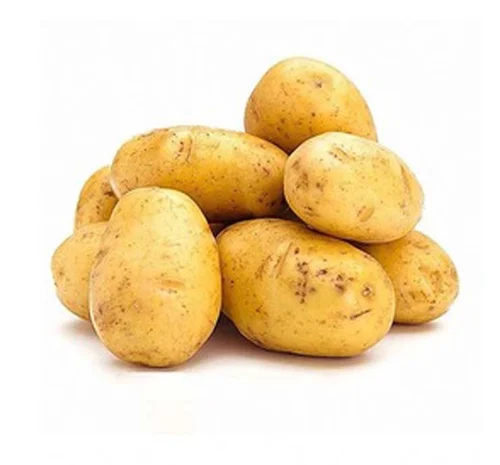 Fresh Potato Exporter Processing Grade Bulk Europe Supply