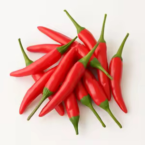 Fresh Red Chilli Exporter High Pungency Middle East Bulk