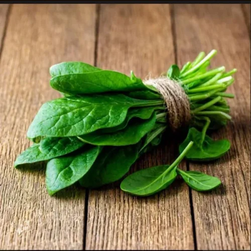 Fresh Spinach Supplier Bulk Export Europe Organic Leafy