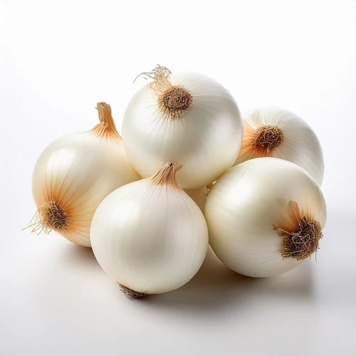 Fresh White Onion Exporter Processing Grade Europe Supply