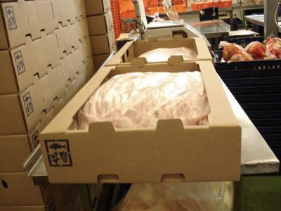 Frozen Chicken 20Kg Carton Export Packing Bulk Supplier