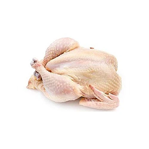 Frozen Chicken Whole Halal Export Quality Bulk Supplier