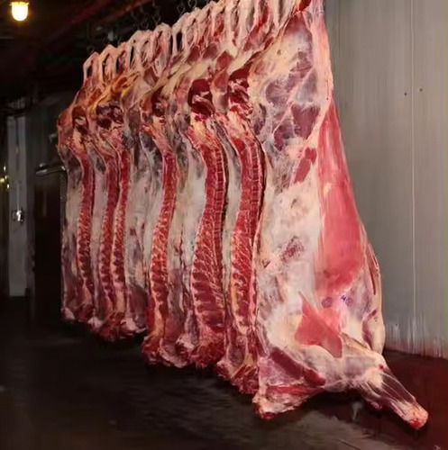 Frozen Meat Export Supplier UAE Europe Africa Bulk Manufacturer