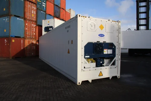 Frozen Seafood Container Load 20ft 40ft Export Supplier