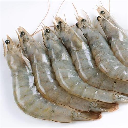 Frozen Shrimp (Vannamei)