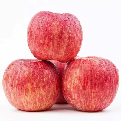 Fuji Apple Supplier Premium Size 90mm Bulk Export