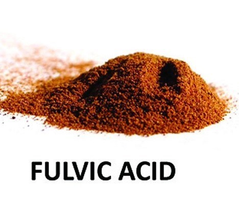 Fulvic Acid