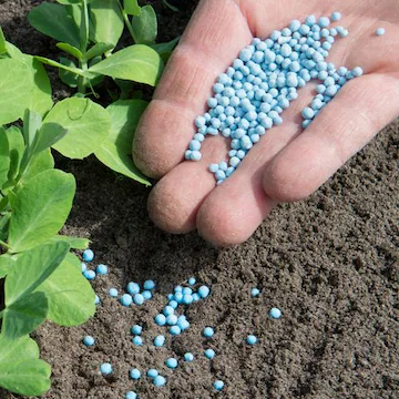 Garden Plant Fertilizers