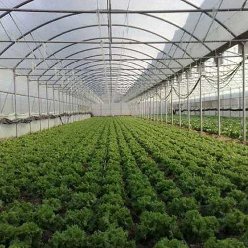 Greenhouse Fertilizers