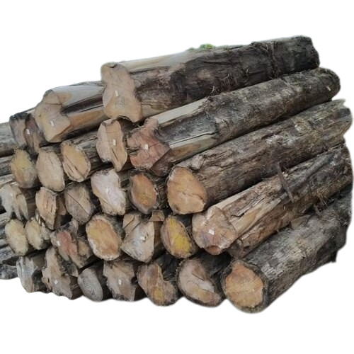 Hardwood Logs Supplier for Furniture Factories