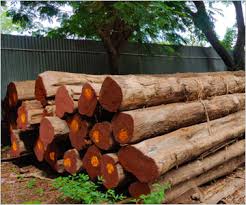 Hardwood Supplier for Furniture Factories Africa
