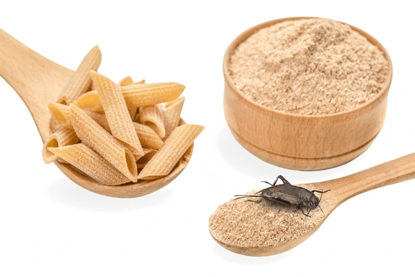 ISO Certified Insect Protein Manufacturing Quality Bulk Supplier