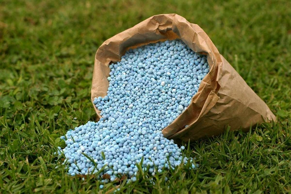 Lawn Fertilizers