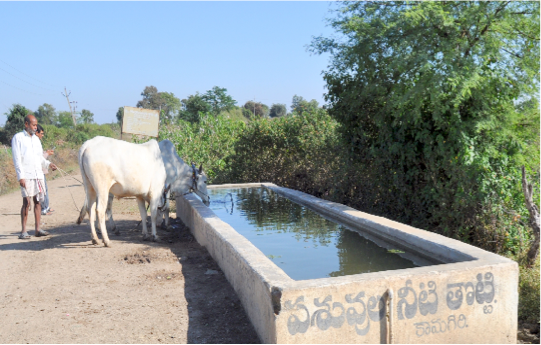 Livestock Watering Systems