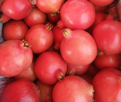 Looking For Pomegranate Exporter Europe Bhagwa Grade A