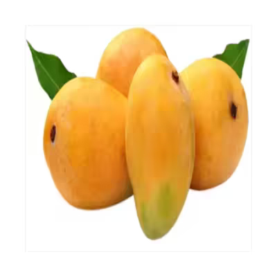 Mango Exporter High Brix 20 Percent Premium Bulk