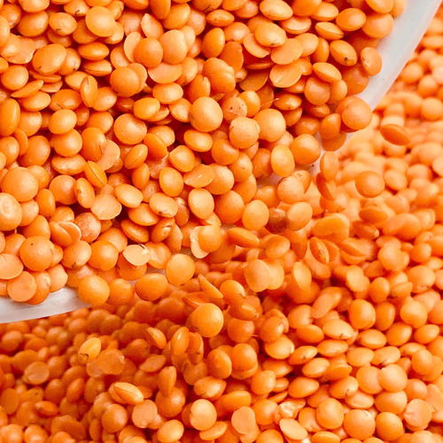 Masoor Dal Export Supplier Europe Buyers