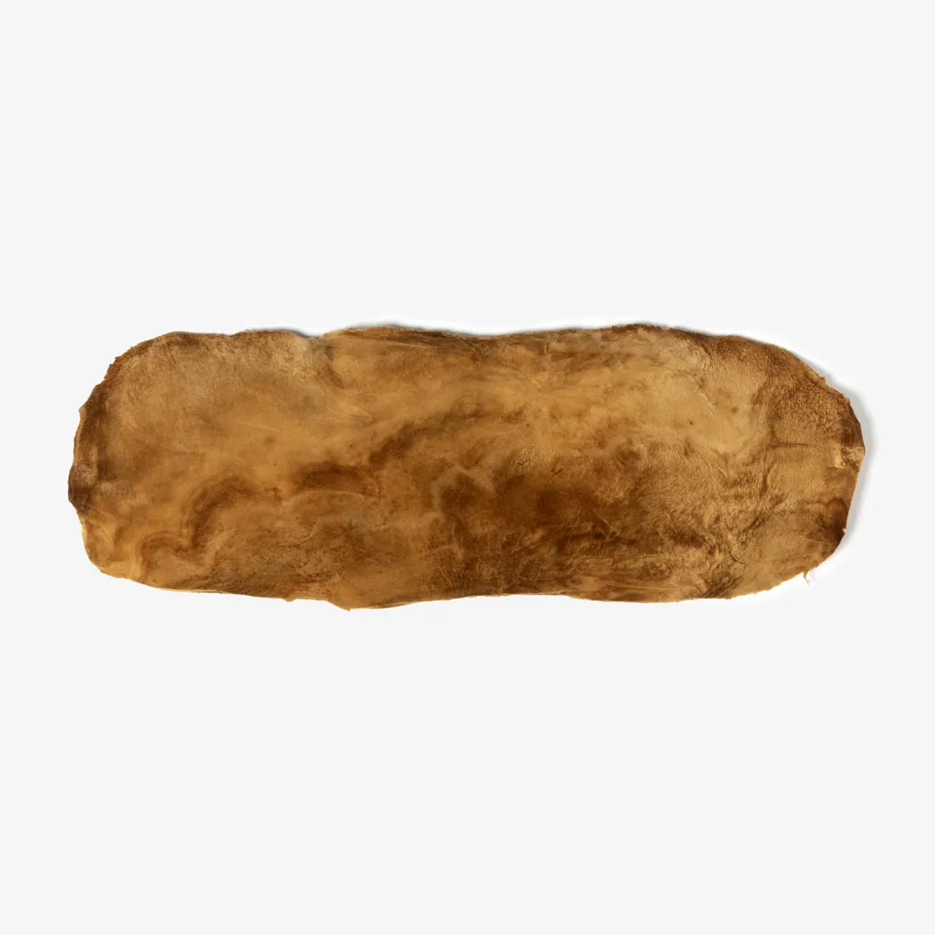 MuSkin (Mushroom Leather)