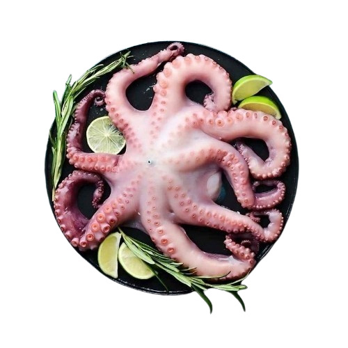 Octopus IQF Cleaned Frozen Export Premium Seafood Supplier