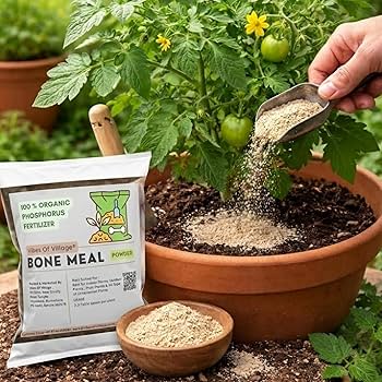 Organic Certified Bone Meal Fertilizer Eco Friendly Bulk Supplier
