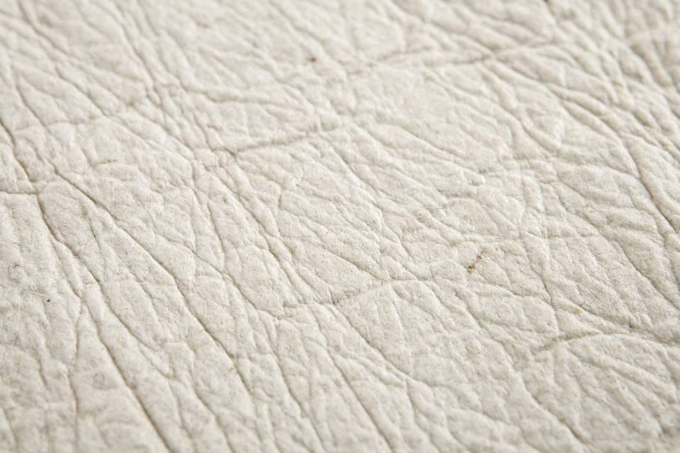 Pinatex (Pineapple Leaf Leather)