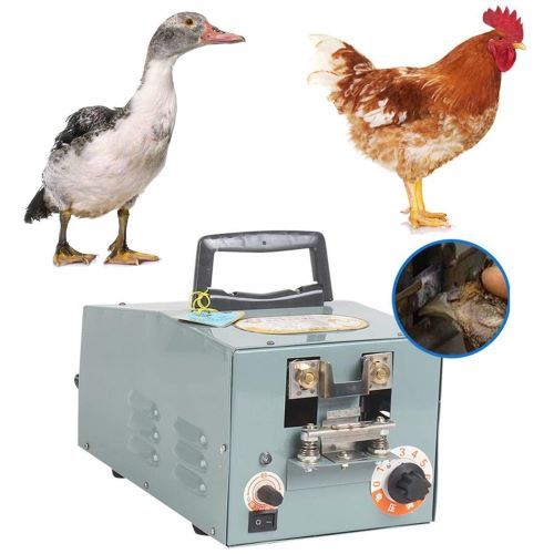 Poultry Farming Machinery