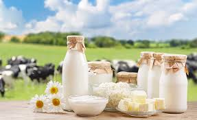 Premium Export Dairy Beverage Collection