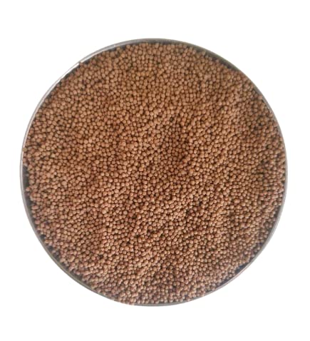 Protein-Rich Fish Feed